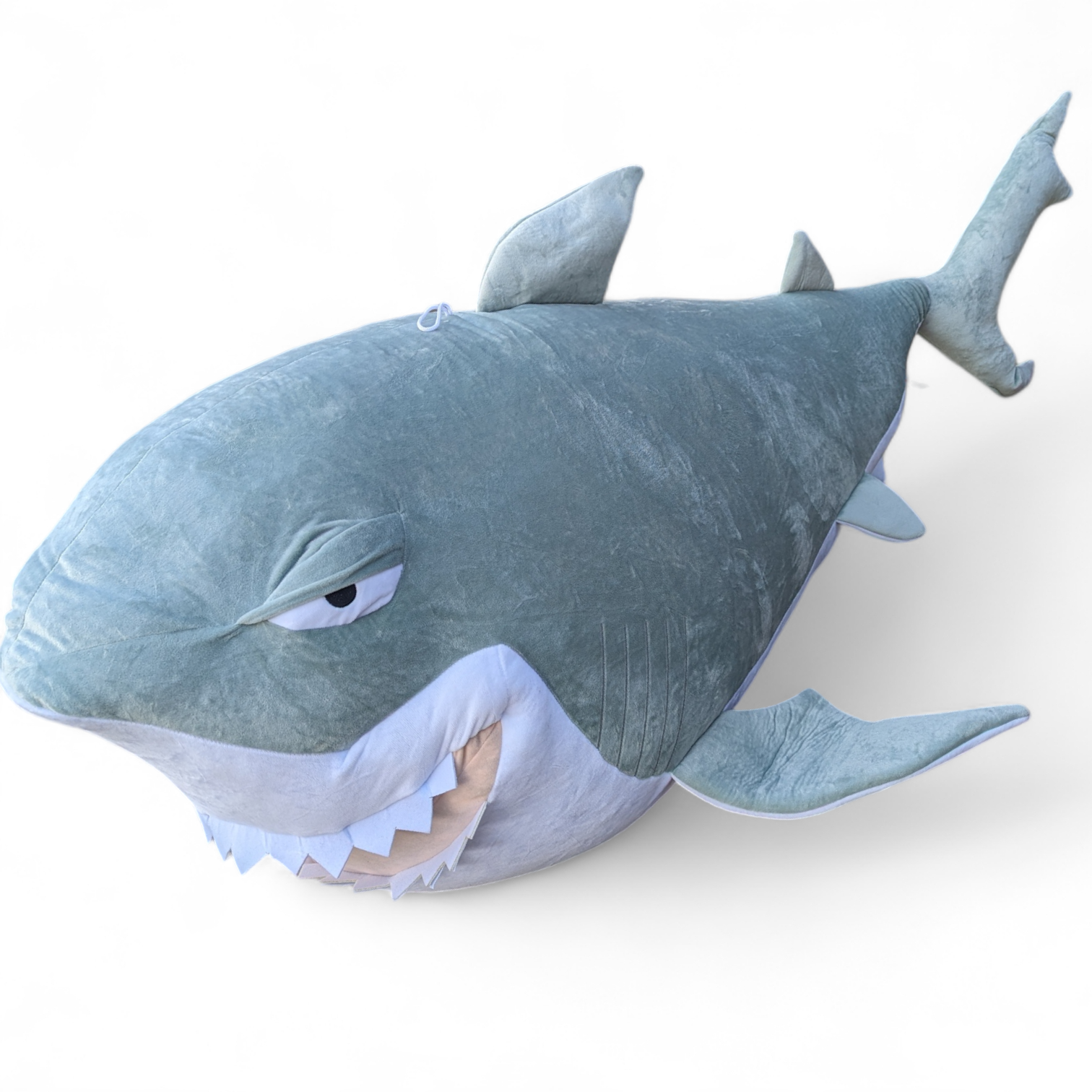 Shark – 70″