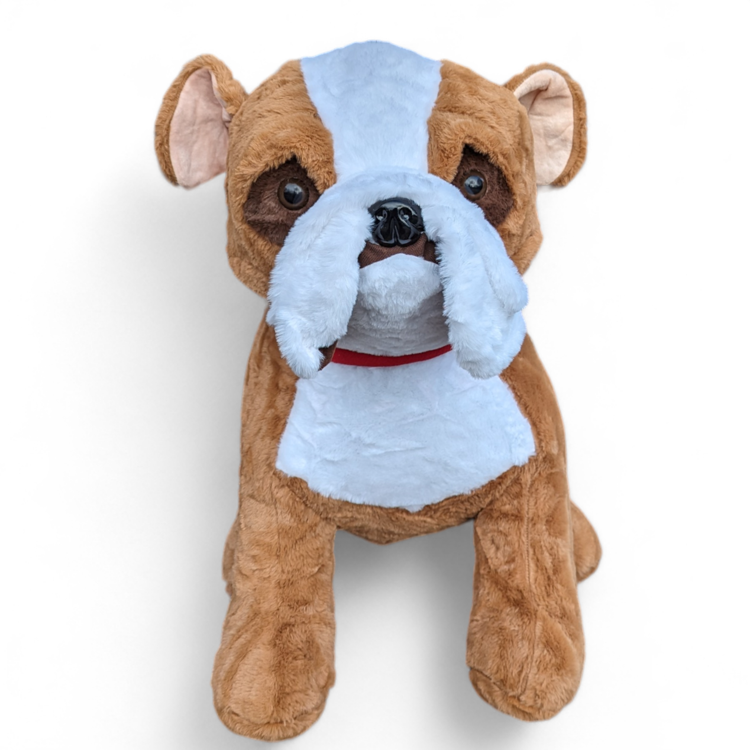 Bulldog with red collar – 24″