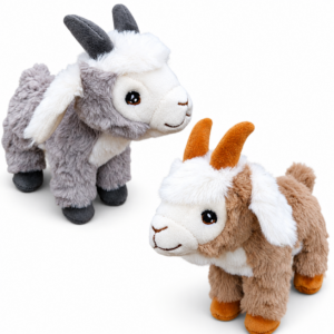 Pygmy goats - 9"