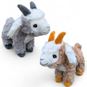 Pygmy goats - 9"
